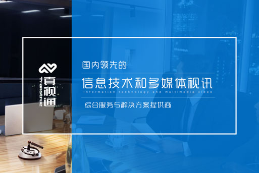 真視通網站建設案例